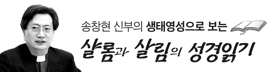 송창현 신부의 생태영성으로 보는 샬롬과 살림의 성경읽기 (13) 하늘의 새와 들에 핀 나리꽃